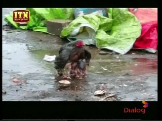 Atapattama 05-09-2018