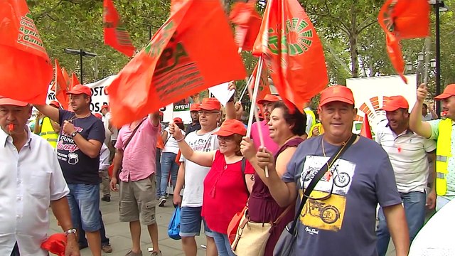 Agricultores piden precio justo para aceituna de mesa