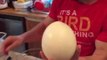 Dad Whips Up an Ostrich Egg Omelette