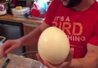 Download Video: Dad Whips Up an Ostrich Egg Omelette