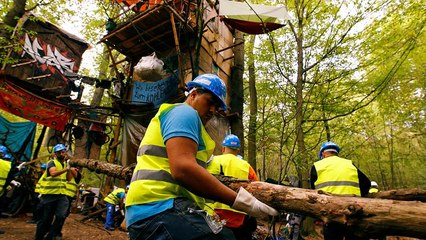 Hambacher Forst: Die Vorbereitungen für die Rodung laufen