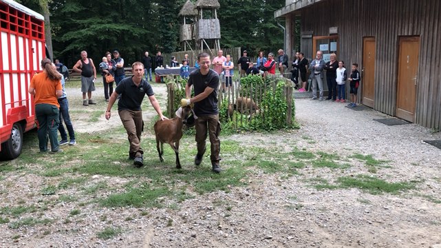 A Pescheray, le zoo organise sa vente annuelle d’animaux domestiques