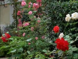 Pacific Blue S4 E19 Near Death