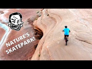 Bartlett Open Riding Area - Nature's Skatepark