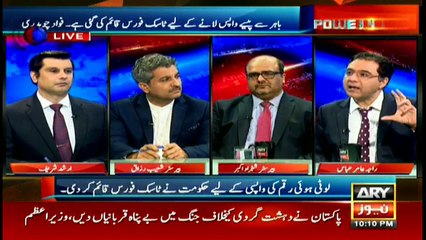 Retrieving money stashed abroad responsibility of NAB rather than task force: Raja Amir Abbas