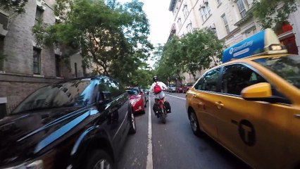 Countless New Yorkers Chase Runaway Dog