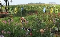 Farm Kings S03 - Ep02 Meat and Greet HD Watch