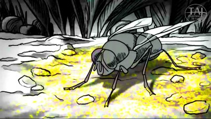 Cholera - Symptoms and causes {Taj Pharmaceutical News} Cholera - great investigation record