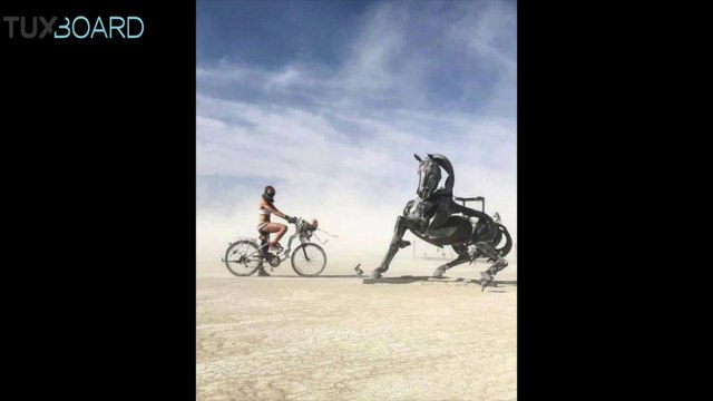 Photos étonnantes du Burning Man 2018