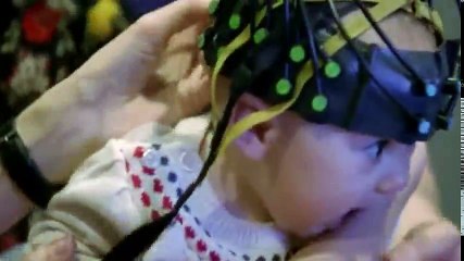 Horizon S53 - Ep06 Should We Close Our Zoos -. Part 02 HD Watch