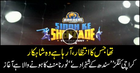 Karachi Kings to organize cricket tournament for the players of Sindh