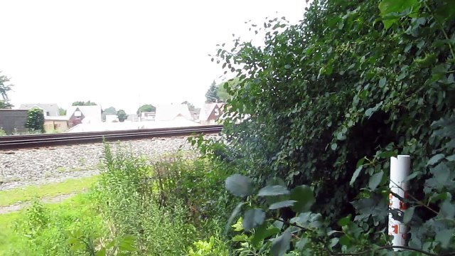 2 CSX Locomotives pass through Hemlock Park