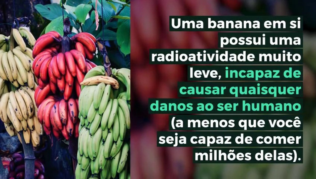 Curiosidades sobre a Banana - Vídeo Dailymotion
