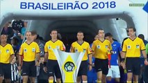 Botafogo 1 x 1 Cruzeiro (HD) Melhores Momentos e Gols - Brasileirão (05 09 2018)