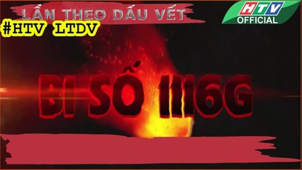 LẦN THEO DẤU VẾT ★ Bí số 116G #HTV LTDV