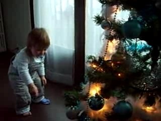 Découverte du sapin de Noël