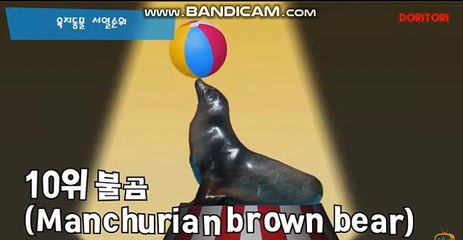 스포츠 토토 솔루션/사설토토사이트제작/사이트임대/솔루션제작카톡:soft2580 스카이프:soft2580