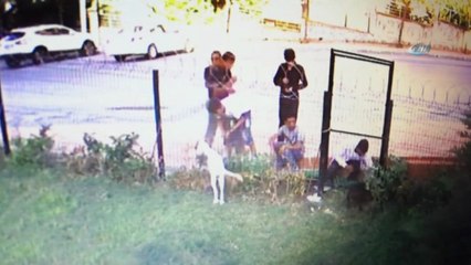 Çalıp Geri Getirdiler: O Anlar Böyle Görüntülendi