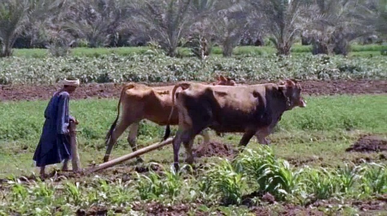 Egypt S01 E06