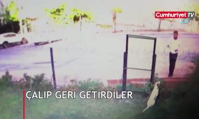 Çalıp geri getirdiler: O anlar böyle görüntülendi