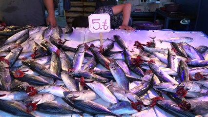 Havaların sıcak olması palamut satışını etkiliyor