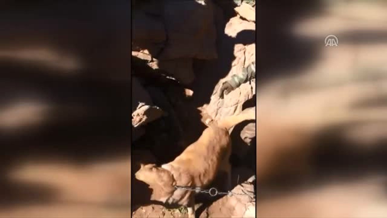 Mayın Arama Köpeği "Yay" İkiyakalar'da Komandolarla