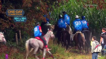 Sports Explainer : L'endurance, défi ultime de l'équitation