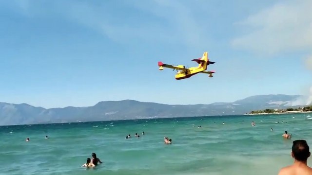Des canadairs se remplissent d'eau sur une plage pleine de touristes
