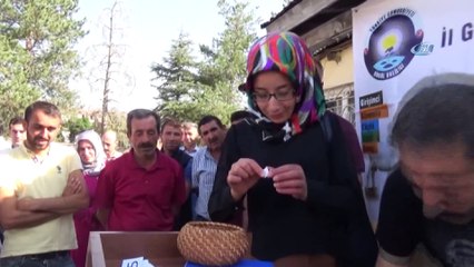 Genç çiftçilere koyun desteği