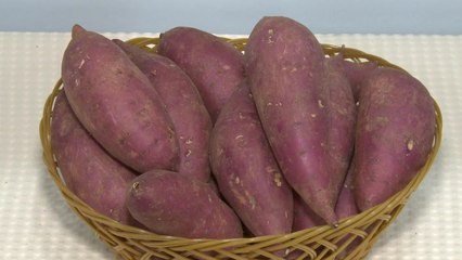 고구마 고부가가치 창출 위한 심포지엄 / YTN