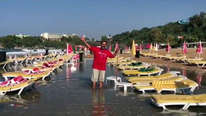 Sabah plaja gelen işletmeci gözlerine inanamadı