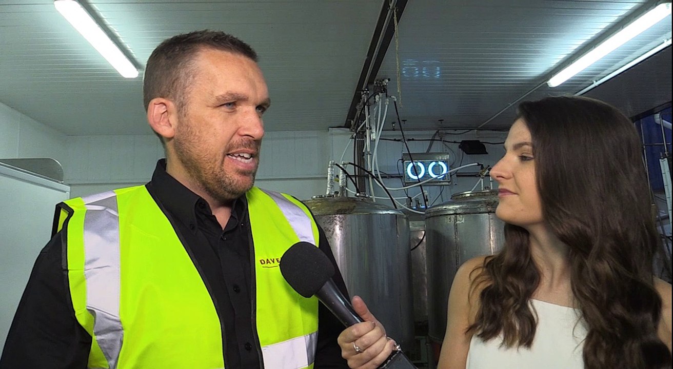 Would You Try Vegan Beer?