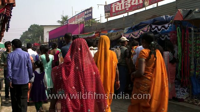 Annual Sonepur Cattle Fair Bihar