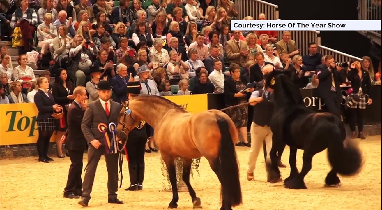 WHAT'S ON: Horse of the Year Show at the NEC