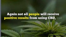 How Long Is Cannabis CBD Benefits For Diabetes