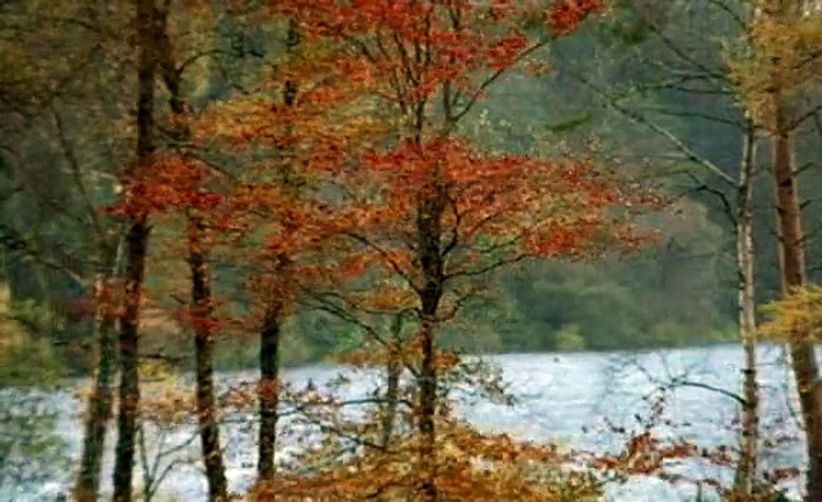 Monarch Of The Glen S03E11