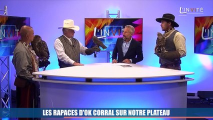 Vidéo : les rapaces d'OK Corral investissent le plateau de La Provence