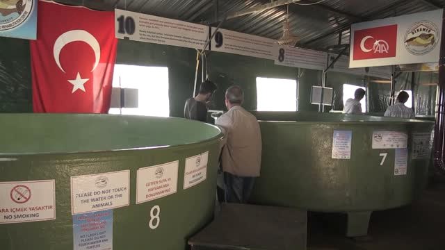 Atık Plastikler Denizdeki Yaşamı Tehdit Ediyor