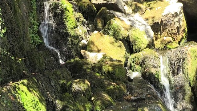 Kültür ve doğanın buluştuğu park - GİRESUN