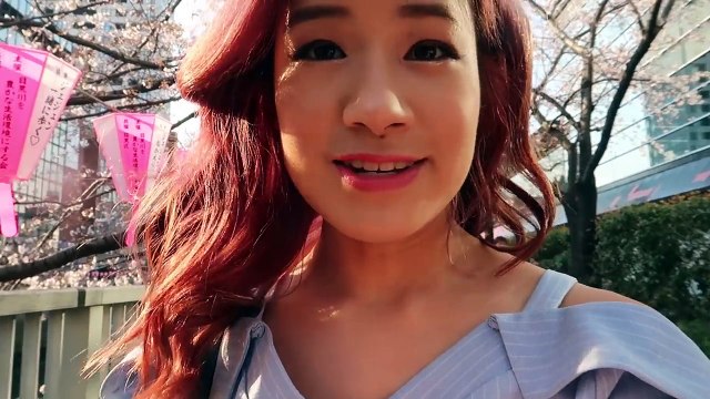 Cherry Blossoms in Tokyo Meguro & Yoyogi Park