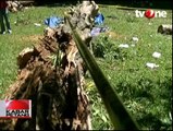 Pohon Tumbang di Kebun Raya Bogor Tewaskan 4 Orang