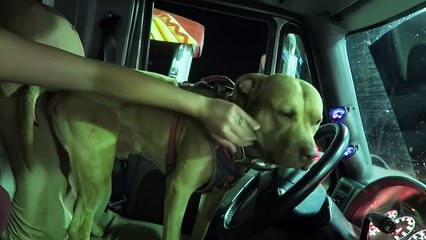 Eaten Alive at a Truck Stop