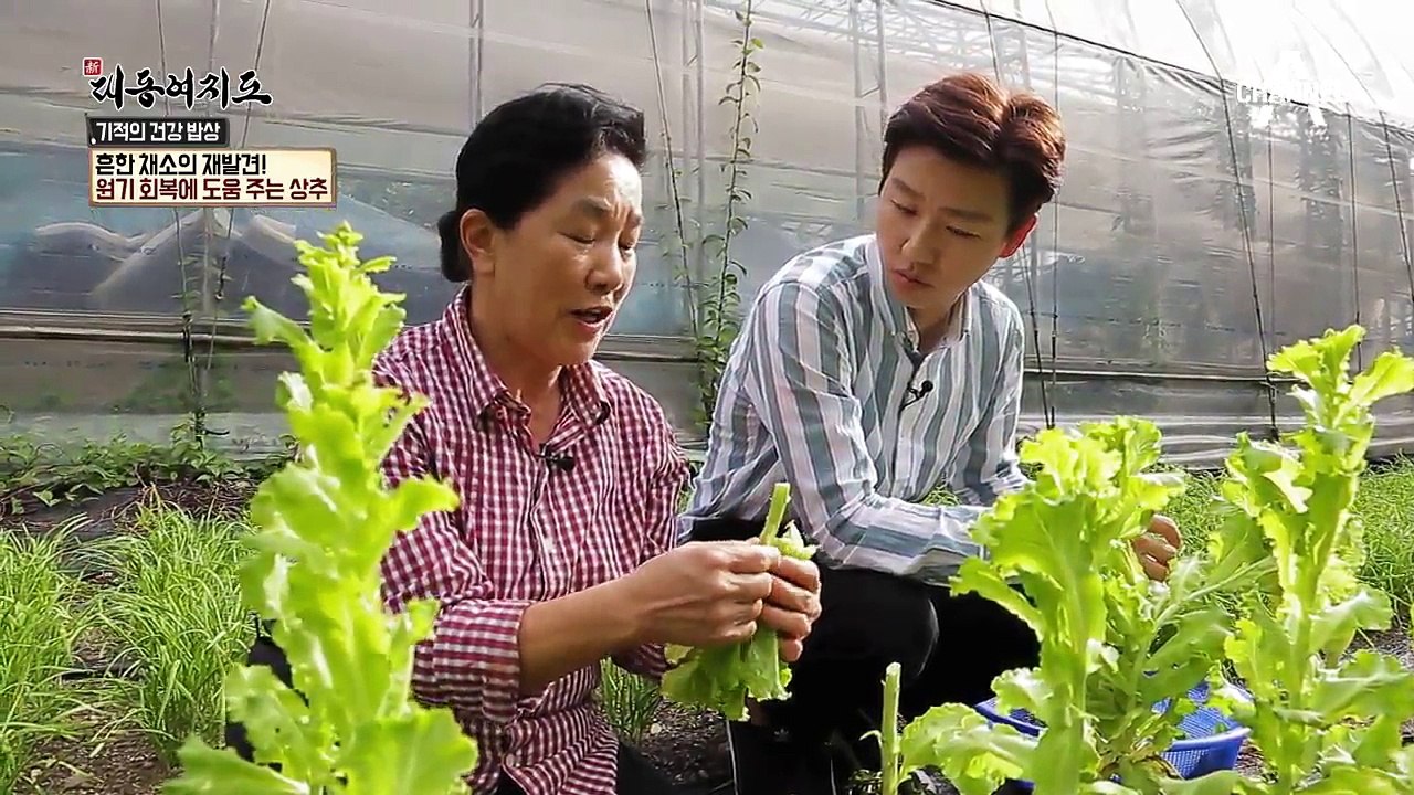 천금을 줘야 얻을 수 있는 '천금채'! 건강 고수의 밥상 비법