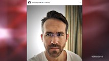 Ryan Reynolds Goes After Paddington the Bear on Twitter