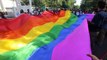 After Supreme Court challenge gay sex is legalised in India