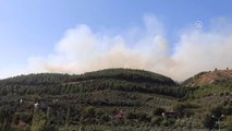 Osmaniye'deki Orman Yangını
