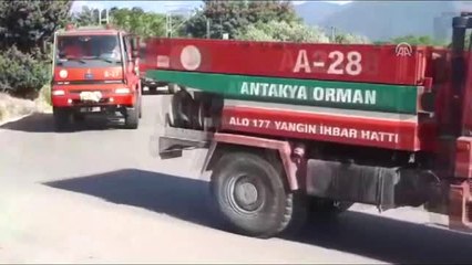 Hatay'da Ahırdaki Yangın Ormana Sıçradı