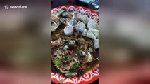 Would you eat this? Thai salad served up with live crabs