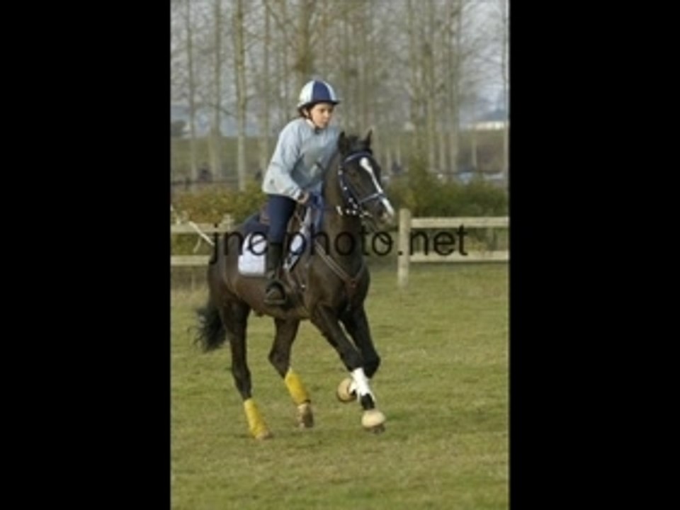 Carridge