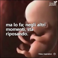 Tải video: Cose che non sapevi che il tuo bambino stava facendo dentro di te